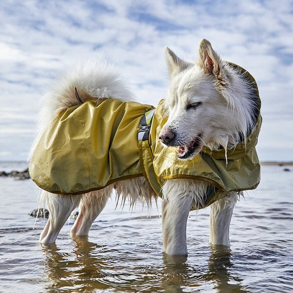 Endurskinjakki regnjakki hundajakki Mudadventure