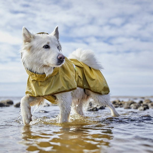 Regnjakki með endurskini hundajakki Mudadventure